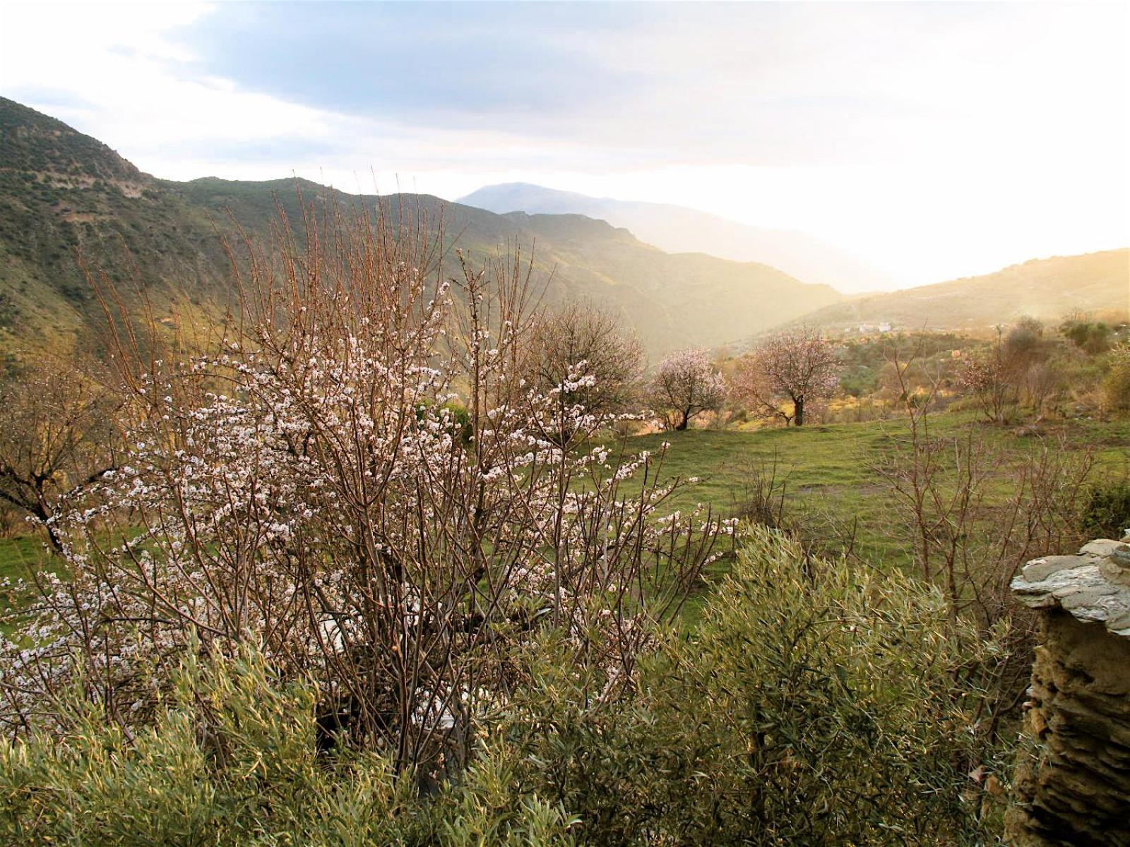 Rural House, Heated Pool & Steam Room, Casa Aloe. Atalbeitar エクステリア 写真