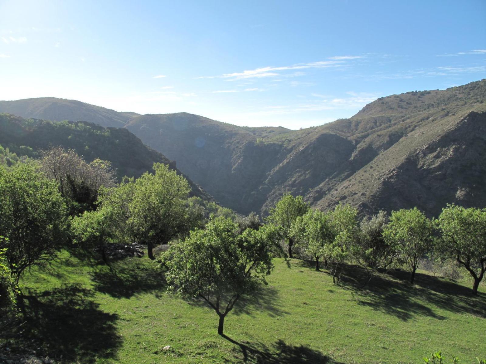 Rural House, Heated Pool & Steam Room, Casa Aloe. Atalbeitar エクステリア 写真
